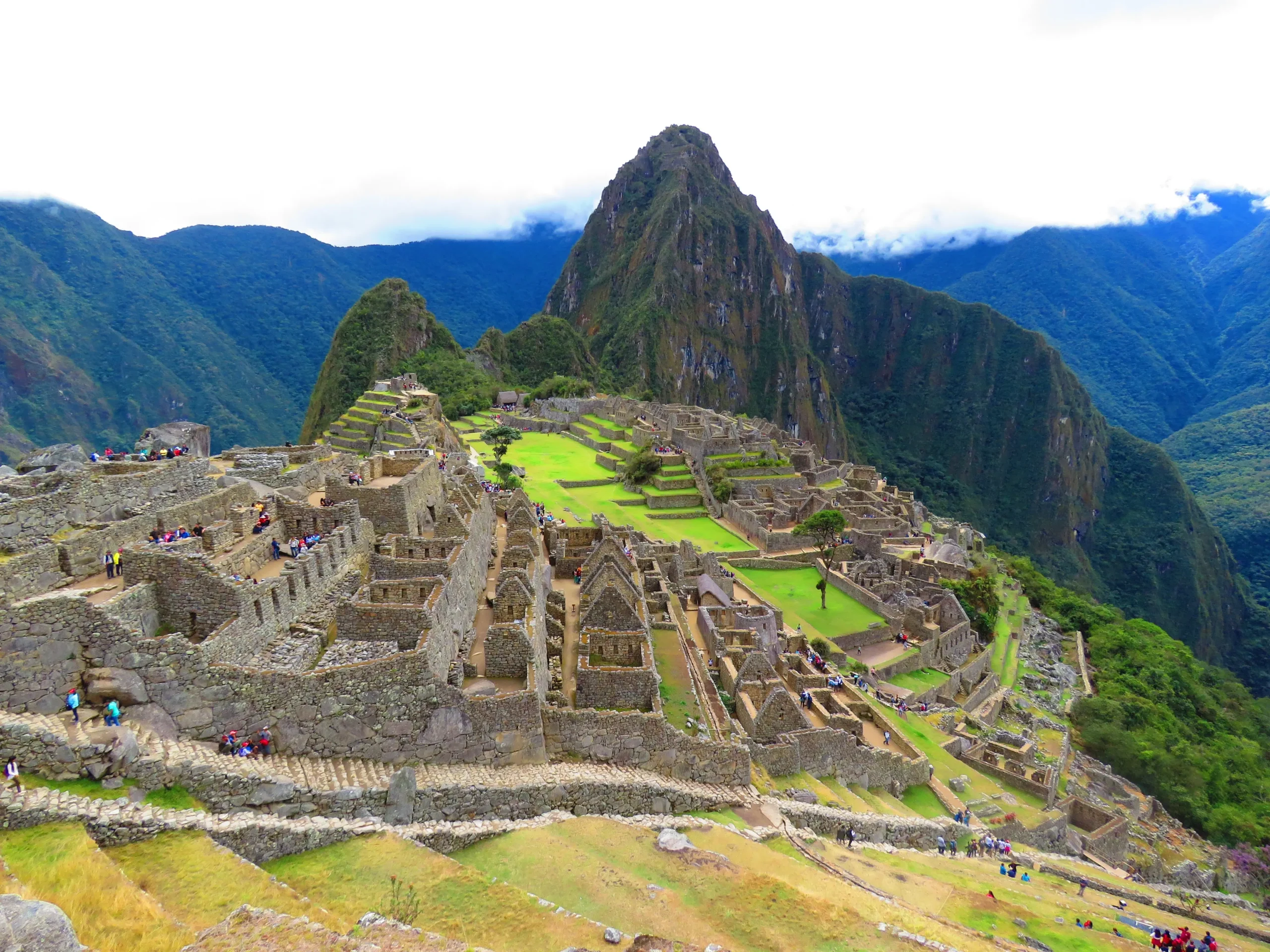 ZopED-Peru-1-scaled.webp